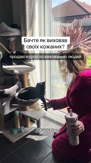 Підписуйтесь на мене! МЯУ❤️‍🔥