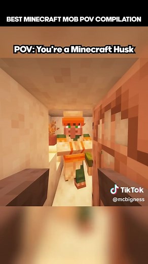 The Best Minecraft Mob POV's Zombie | Drowned | Husk | Warden #minecraft #minecraftmemes #fyp #foryoupage #trending