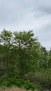 9K views · 183 reactions | One of the most versatile planes in history…the C-130 Hercules! This was one of the last EC-130Js from the 193rd Special Operations Wing. Love those RR turboprops! #C130 #hercules #ec130j #turboprop #tactical #special #approach #low #slow #power #soundup | Ryan Tykosh Photography | Facebook