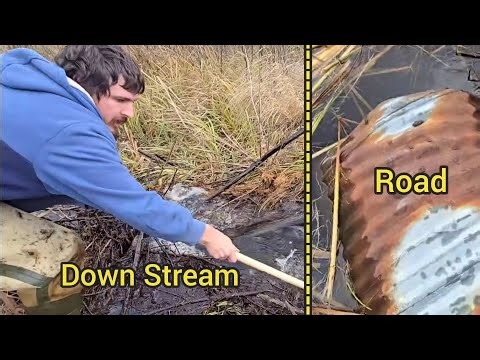 Unclogging Flooded Culvert, Determining If Its Even Clogged