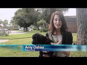 Children & Dog Bites