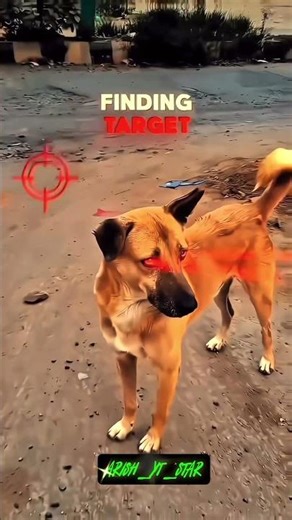 #aktechnicalpoint #shorts #zx10r