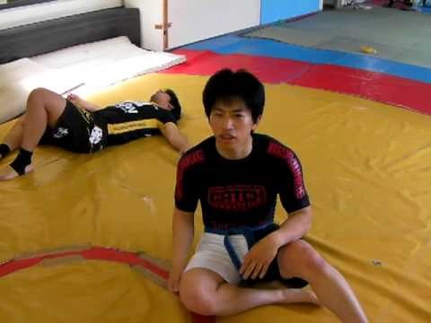 プロレス技～スタナー