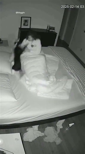 3AM: The Hour My Cats Wake Me Up Fighting 😭