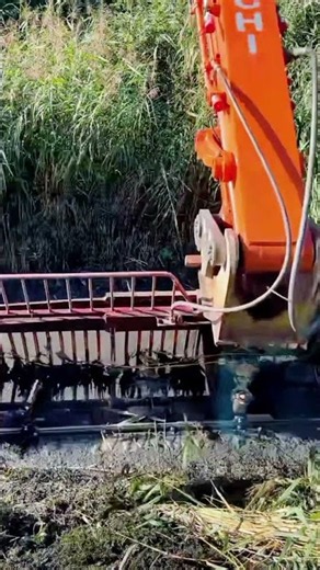 Excavator Ditch cleaning mover Bucket #heavyequipment