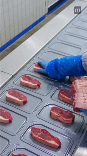 Packaging high-quality fresh-cut steak products🥩with MULTIVAC thermoforming packaging equipment