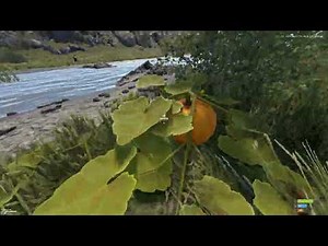 How to Get Food Early Game in Rust