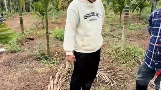 生根就用大脚印，0.07% 吲丁萘乙酸，安全爆根超给力