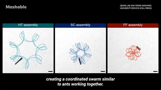 4.1K views · 13 reactions | Researchers at Hanyang University are developing tiny microbot swarms that connect, move and change shape when controlled by magnets. While still in early development, researchers believe they could eventually be used for tasks like delivering medicine, clearing blockages, or even environmental cleanup. | Mashable | Facebook