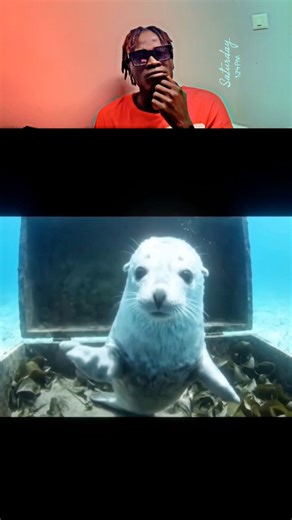 5K views · 328 reactions | Is this ai again ehh | Offline media | Facebook