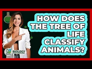 How Does The Tree Of Life Classify Animals? - Biology For Everyone