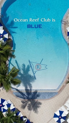 11K views · 175 reactions | Colors of The Reef #oceanreefclub #florida #keylargo #uniquewayoflife | Ocean Reef Club | Facebook