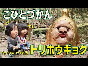 【こびとづかん】トリホウギョクと森の冒険