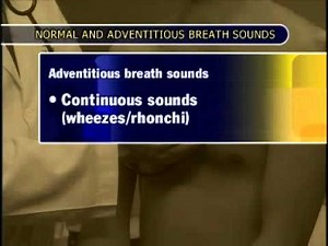 Normal & Adventitous Breath Sounds