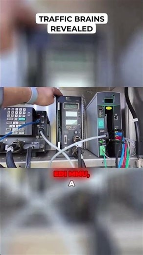 Traffic Brains Revealed