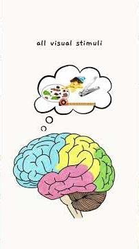 How to study when you don’t feel like it.