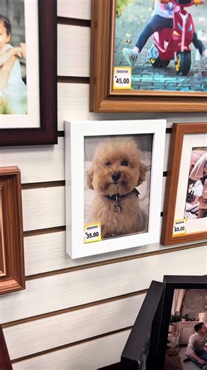 Tus fotos son el mejor pretexto para visitarnos, las vas a poder imprimir y enmarcar en 20 minutos !!! #marcos #fotos #cuadros #deco #familia