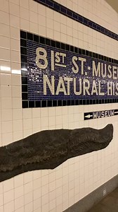 21K views · 1.8K reactions | Live from New York ✨ Friday, September 4th, 2020 Subway at the Natural History Museum 秊 Today I had the pleasure of visiting the reopened AMNH. They asked me not to do a live video inside the museum so I took some HD content and I’ll share it with you soon  Sorry for the short ride... had to run back home to Mika  | New York Mickey | Facebook