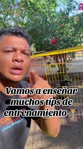 Video de G. Praga (@criaderopraga) relacionado con “workouts”