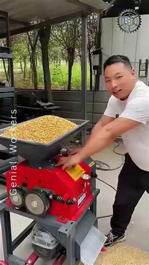 #New Corn Cutter Machinery # For easier and more efficient work #Short #automatización