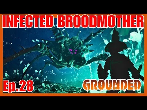 Infected Broodmother Full Guide - Grounded