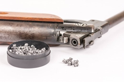 .177 or .22 - Which is the Best Caliber for Airguns and Why?