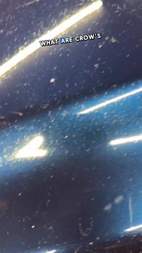 The Punisher on Instagram: "Crows feet can have several causes and here are a few to note! #detailer #paintcorrection #detailers #detailing #detailer"