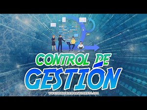 MANAGEMENT CONTROL 🕹️ ► Functions in the company