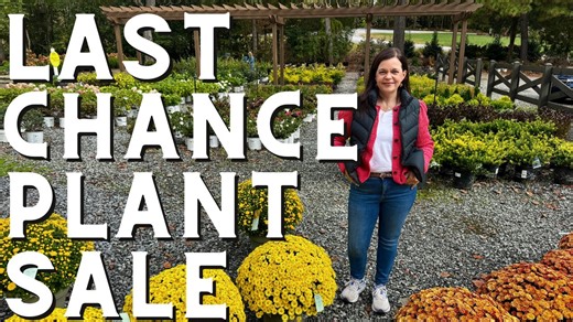 Join us for a beautiful tour through Creekside Nursery as we showcase the gorgeous plants available this week in the garden center. From vibrant fall perennials to Proven Winners ColorChoice shrubs, there’s no shortage of inspiration for your own garden. Plus, this is your final week to take advantage of our in-store sales ending this Saturday, and our online 30% off sale for live-shipping shrubs and perennials. Don’t miss this chance to stock up on the plants you’ve been eyeing before the seaso