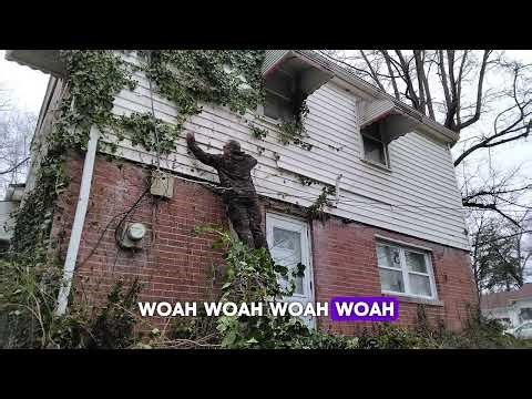 How to get rid off weed growing on the siding of the house