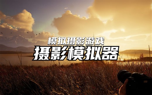 拥有各种单反相机的机会来了 摄影模拟器 Photography Simulator 再也不用担心没有设备让你发挥摄影天赋了