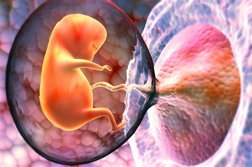 Study reveals fresh insight into when babies start to feel pain