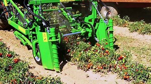 Our Monthly Performer, our N67 is powering Guaresi Tomato Harvesters with a max. harvesting capacity of 80 ton/hour! http://guaresi.com/en/ | FPT Industrial