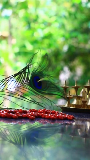 read write travel on TikTok