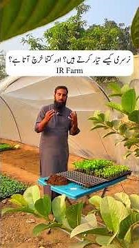 How Nurseries Are Set Up & What It Costs – Full Breakdown!