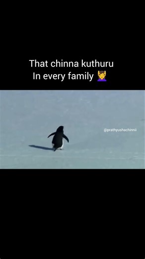 Penguin Why did you go to Mountains 🐧 #youtube #shorts #short #shortvideo #shortsvideo #god #penguin