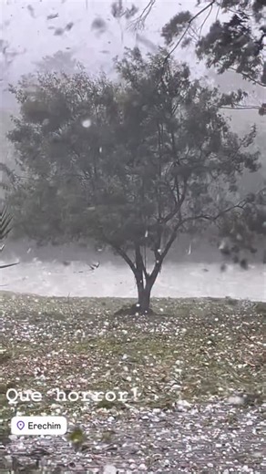 Capixaba da Gema ®️ on Instagram: "Erechim (RS) – 23/11/2025 Uma impressionante tempestade de granizo atingiu a cidade na tarde deste domingo. Pedras chegaram a medir até 10 cm de diâmetro, chamando atenção pelo tamanho excepcional e pela intensidade da chuva. Créditos: aline.dotta #Erechim #RioGrandeDoSul #Granizo #Clima #Tempestade #Meteorologia #Brasil"