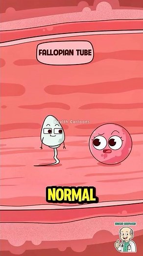 Sperm Quality vs. Quantity: The Hidden Truth! #fertility #sperm #animation
