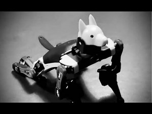 Vorlesung 0: Einführung in die Informatik @ Universität Bamberg