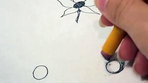 How to Draw a Five Petal Flower