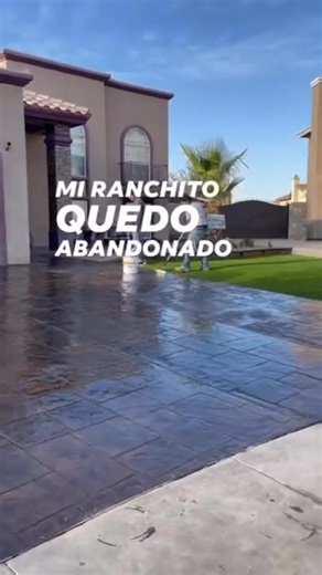 Eco Synthetic Turf on Reels