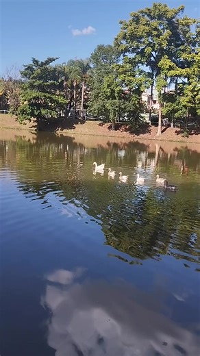 Lagoa Santa Clara: Refúgio Natural em Hortolândia