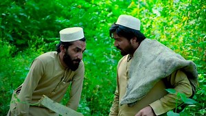 207K views · 10K reactions | PK Plus Vines on Reels | Facebook