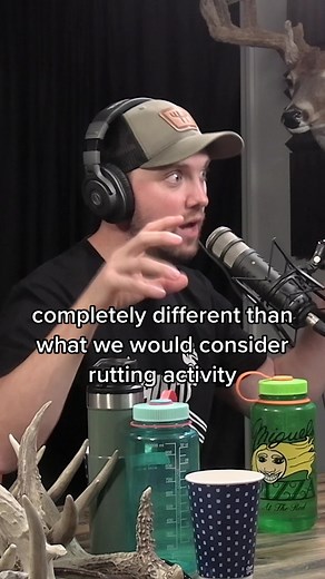 Understanding How Mature Bucks Handle Rut Activity