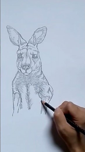🎨 Kangaroo & Joey Pencil Drawing | Animal Drawing Tutorial