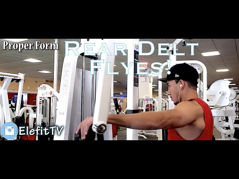 How To Properly Target Rear Delts On Reverse Fly Machine