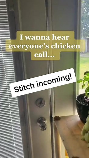 #stitch with @thestruggleisrural if your chickens dont come to your call are you even a chicken keeper?! 🤨🤔🤔 #rural #rurallife #country #lifeisgood #wednesday #happy #chickens #poultry