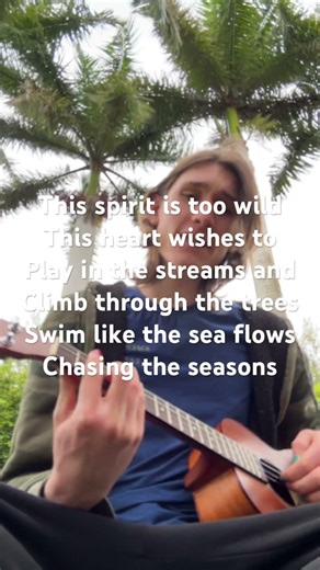 #ukulele #singersongwriter #music #baritoneukulele #alterhuman #otherhearted #therian #otherkin