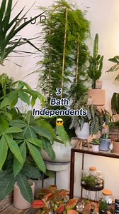 3 of Bath’s best independent spots 📍🙌 #WeAreBSU #BathSpaUni #LifeInBath | Bath Spa University