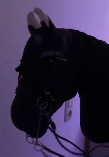 Endwurf !! Letzter Post werde nix mehr posten haben aufgehört 💔 und somit auch keine hhs mehr Hh: @kht._.starfire ♥️ #hh #hobbyhorse #hobbyhorsinggermany #hobbyhorsingisteinsport #viral